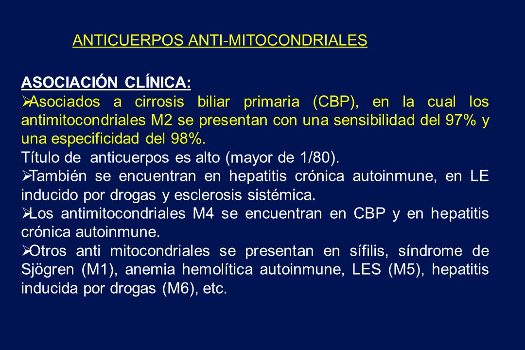 anticuerpos antimitocondriales